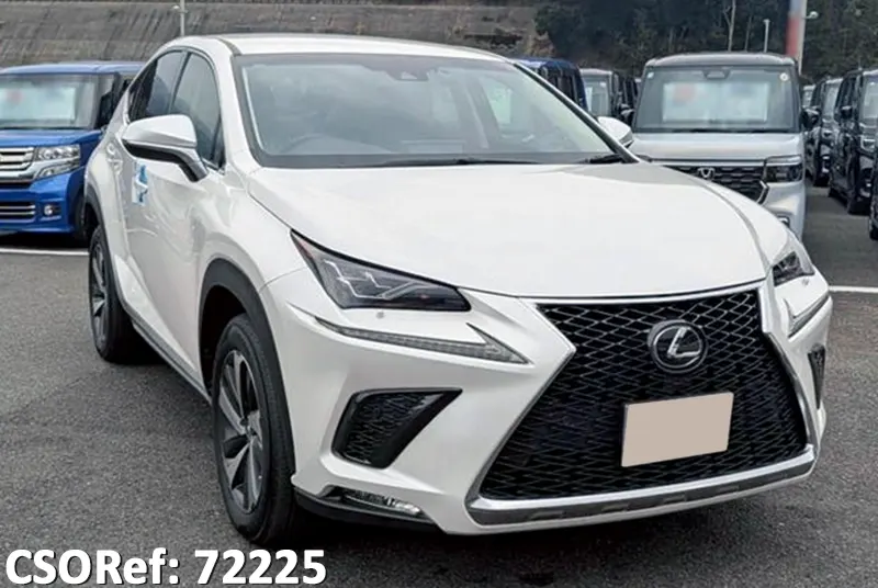 Lexus / NX300 2018