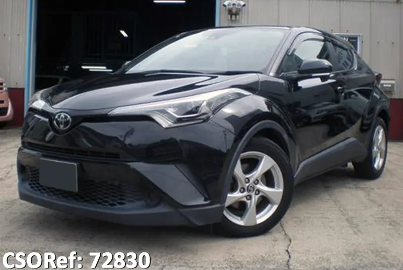 Toyota / C-HR 2019